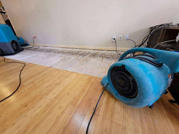 Professional Sewage Cleanup technician working in Aliquippa, PA